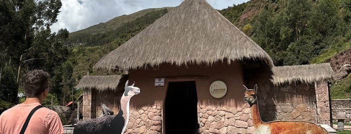 Awana Kancha is one of Cusco.