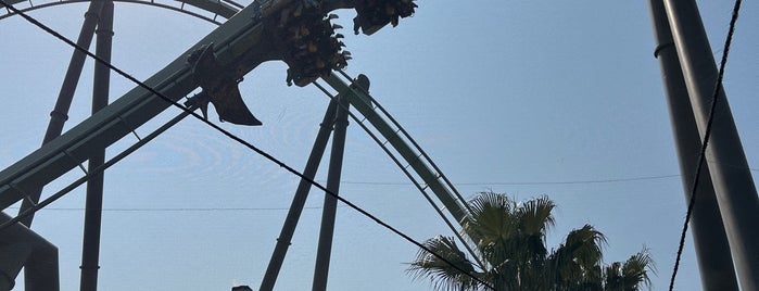 The Flying Dinosaur is one of Japan Trip.
