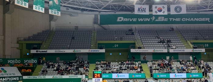 원주종합체육관 (Wonju Gymnasium) is one of 프로농구장.