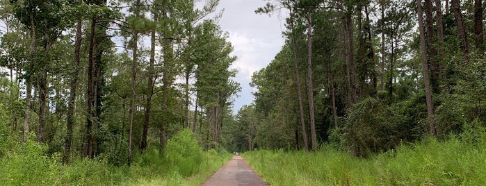 Tammany Trace Slidell Trailhead is one of Northshore Nature.