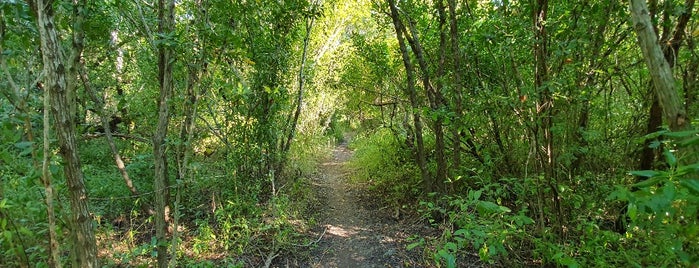 Coastal Prairie Trail is one of Tempat yang Disukai FWB.