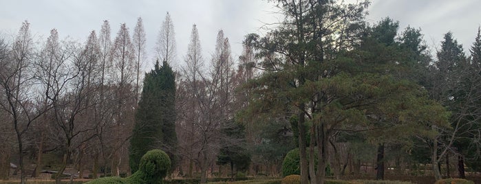 Mulhyanggi Arboretum is one of Favorite Great Outdoors.