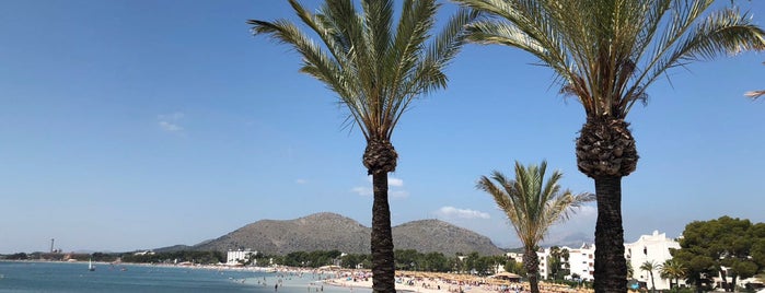 Playa de Alcudia is one of Lieux qui ont plu à 🌸Eunice.