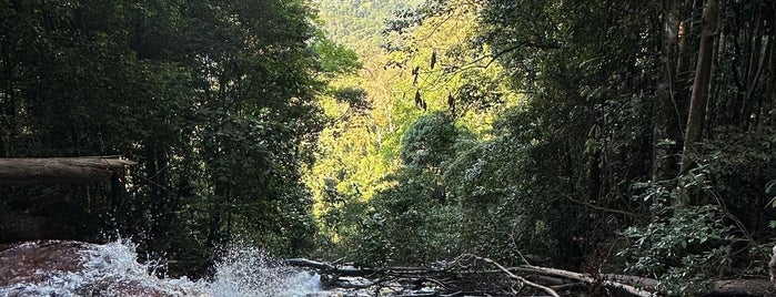 Hutan Lipur Sungai Kanching is one of ꌅꁲꉣꂑꌚꁴꁲ꒒: сохраненные места.