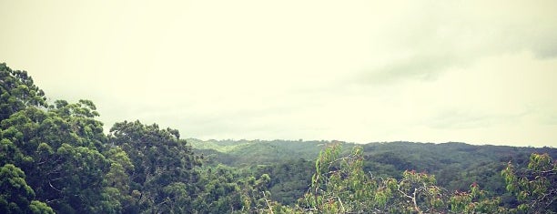 Kaunala Trail is one of Oahu.