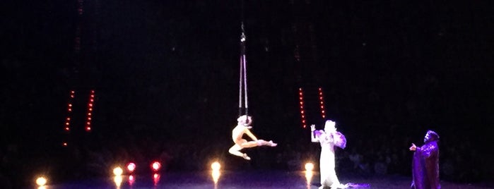 Cirque Du Solei Varekai is one of Oriolさんのお気に入りスポット.