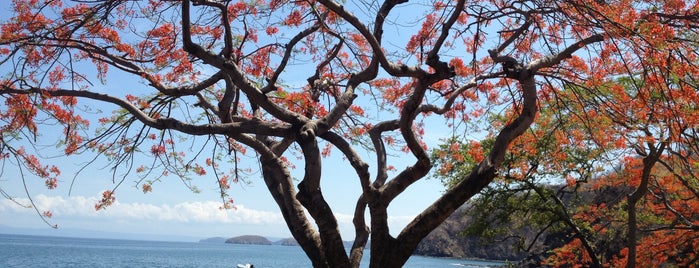 Playa Ocotal is one of Tempat yang Disukai Rassiel.