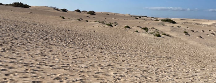 Playa de Rosadero is one of Fuerte.