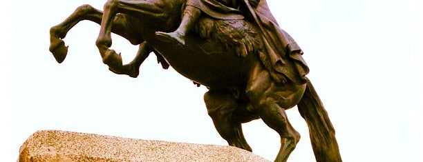 Bronze Horseman is one of SPB Sightseeing.