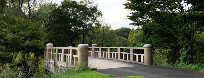 冒険の湖・トンボの池の橋 is one of 道の駅みぶ（とちぎわんぱく公園・壬生町総合公園・みぶハイウェーパーク）内のベニュー.