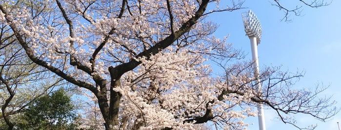 青少年野外活動センター is one of 建物・施設いろいろ.