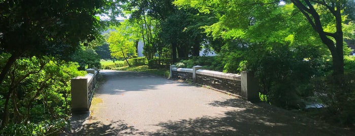 みかえり橋 is one of 栃木県中央公園内のベニュー.