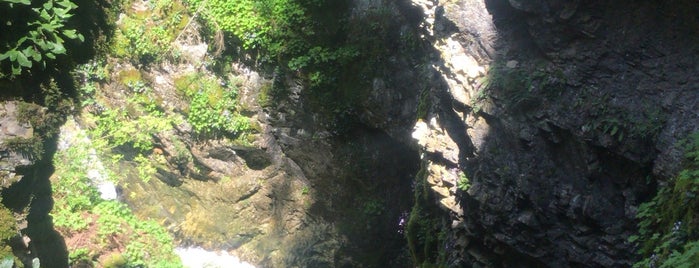 The Buynovo Gorge is one of Must-visit places in Bulgaria.