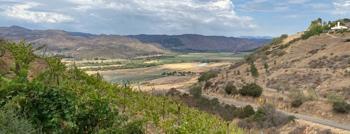 Highland Valley Vineyards is one of Lugares favoritos de Alicia.