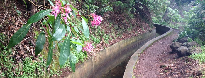 Levada dos Tornos is one of Madeira.