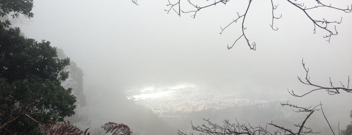 Monte is one of Madeira.