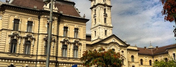 Győr is one of Cities in Hungary.