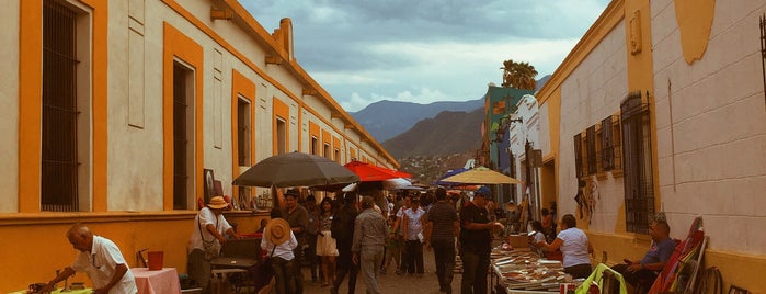 Callejón Cultural Barrio Antiguo is one of Monterrey.