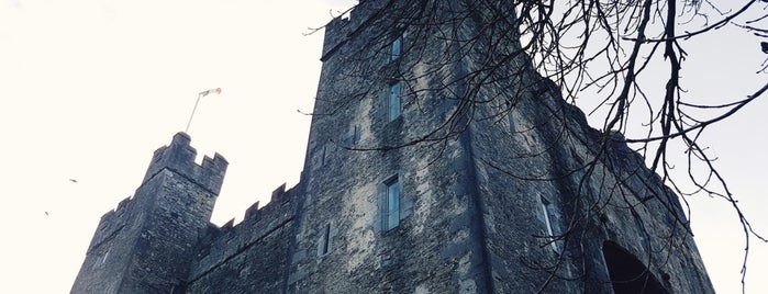 Bunratty Castle & Folk Park is one of Unique places that are noteworthy.