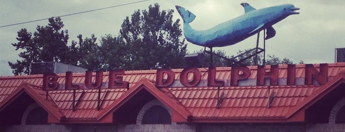 Blue Dolphin Diner is one of Locais curtidos por Charles.