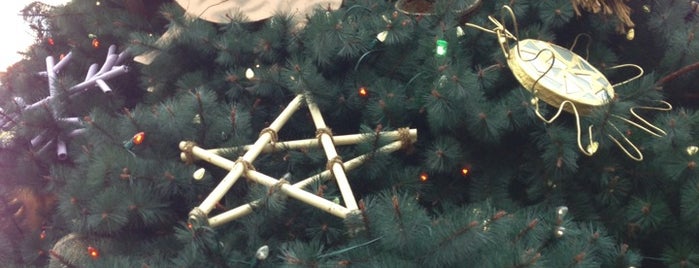 Animal Kingdom Christmas Tree is one of Fixes.