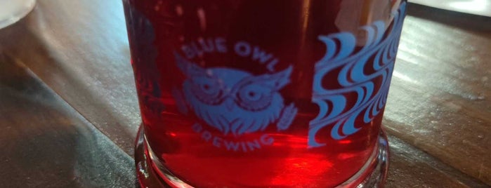 Blue Owl Brewing is one of Austin Tx.