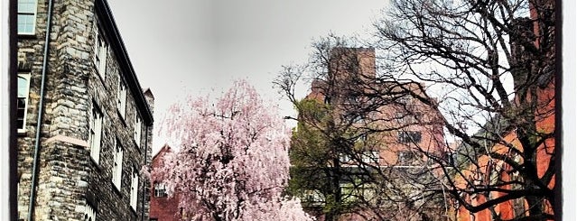 General Theological Seminary is one of Places to Explore.