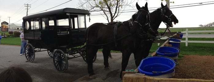 Aaron & Jessica's Buggy Rides is one of Nordøstlige USA.