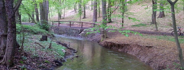 Kunratický les is one of Jan : понравившиеся места.