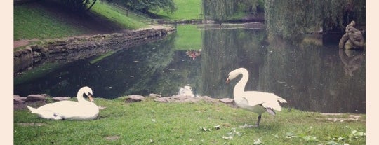 Stryiskyi Park is one of Lviv City Guide.