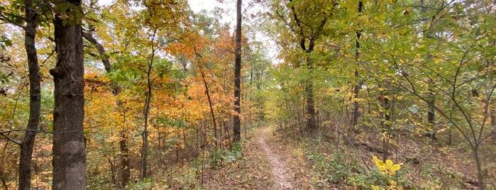 Trail Of Tears State Park is one of PARKS.