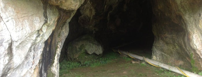 Cuevas de La Lluera is one of Guide to Oviedo's best spots.