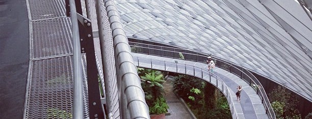 Cloud Forest is one of Sunny@Singapur.