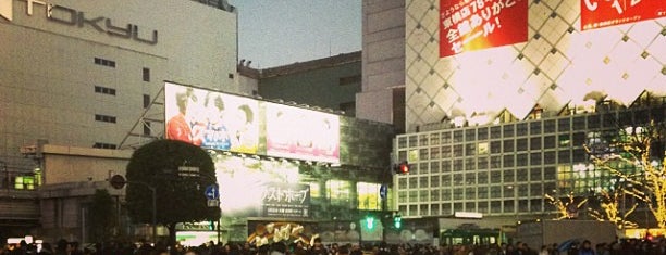 Shibuya is one of Land of the Rising Sun.