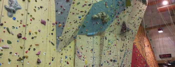 Altitude CCM is one of Climbing Gyms.