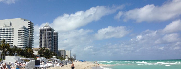 The Fontainebleau Beach is one of Tempat yang Disukai Detroit On Tap.