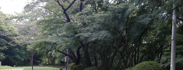 Sakuragaoka Park is one of ペット可？.