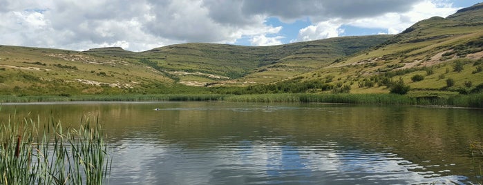Kloof Dam is one of Reise 2.