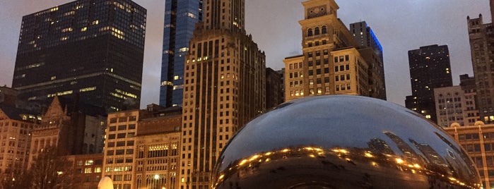 Millennium Park Chiropractic is one of Chicago 02/2015.