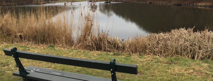 Park van Tervuren is one of สถานที่ที่ Elodie ถูกใจ.