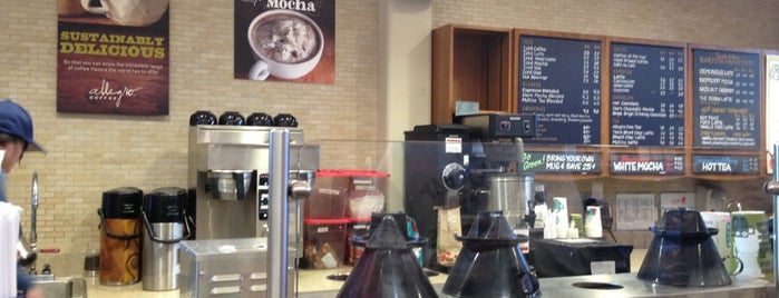 Allegro Coffee Company is one of Denver Coffee shops.
