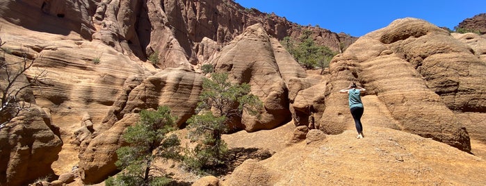 Red Mountain Trail is one of American Southwest.