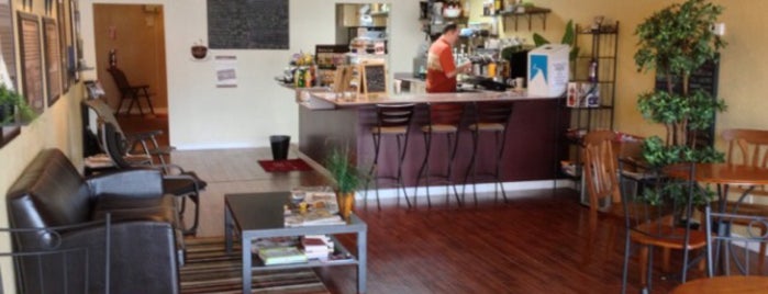 Coffee EVI is one of Independent Cafes and Coffee Shops in Tampa Bay.
