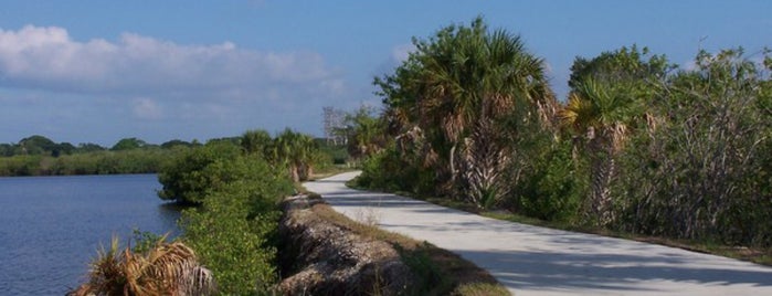 Mobbly Bayou Wilderness Preserve is one of Kimmieさんの保存済みスポット.