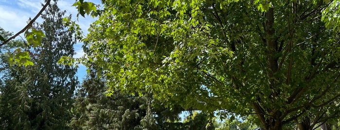 Sutcliffe Park is one of Best of Granville Island.