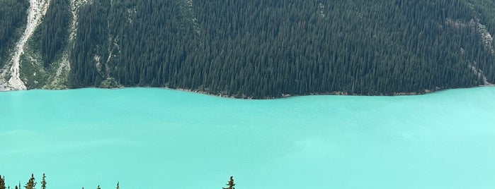 Peyto Lake is one of Canada 2020.