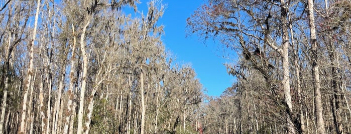 Ichetucknee Springs State Park - South Gate is one of Outdoors FL.