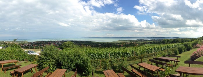 Balaton