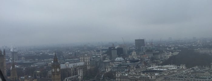 The London Eye is one of Lugares favoritos de Renato.