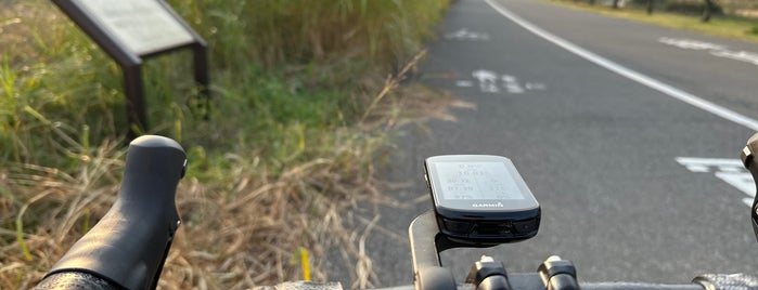 Teganuma Cycling Road is one of whatwhat_i_do.